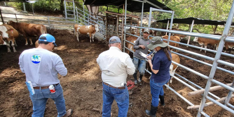 Crean el SINART para el registro y control sanitario para las cadenas pecuaria, acuícola y apícola