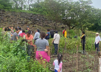 Cultivos de 96 municipios podrían ser afectados por el calor y lluvias intensas