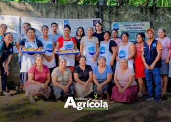 Diccionario Agrícola: Agencia Municipal de Extensión Rural (AMER)