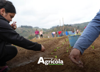 Diccionario Agrícola: Metodología Aprender-Haciendo