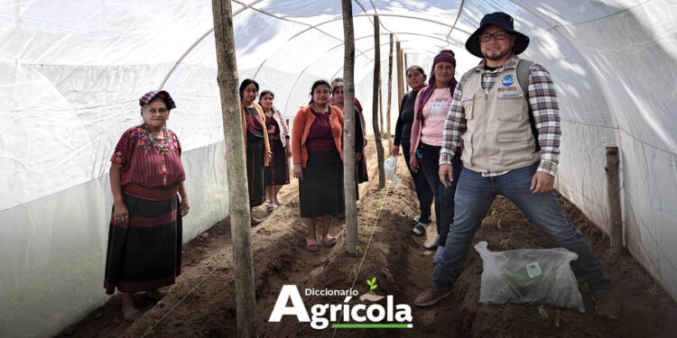 Centro de Aprendizaje para el Desarrollo Rural (CADER)