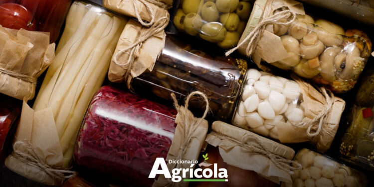 Diccionario Agrícola: Elaboración de Conservas