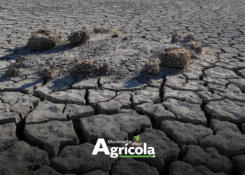 Diccionario Agrícola: Resiliencia Climática