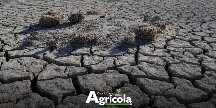 Diccionario Agrícola: Resiliencia Climática