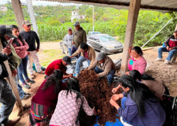 Organizaciones rurales avanzan en la producción de bioinsumos agroecológicos