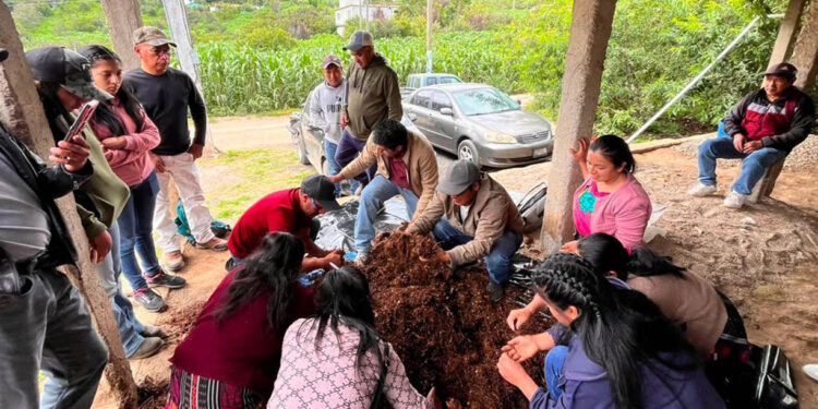 Organizaciones rurales avanzan en la producción de bioinsumos agroecológicos