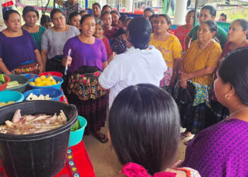 Diversificación de cultivos fortalece seguridad alimentaria en Sayaxché