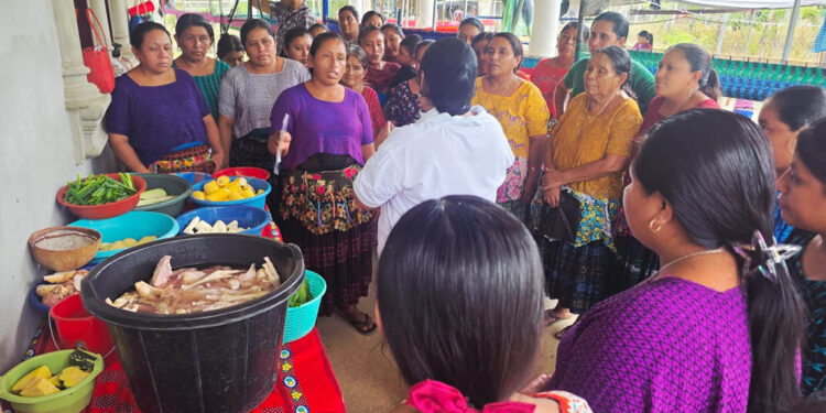 Diversificación de cultivos fortalece seguridad alimentaria en Sayaxché