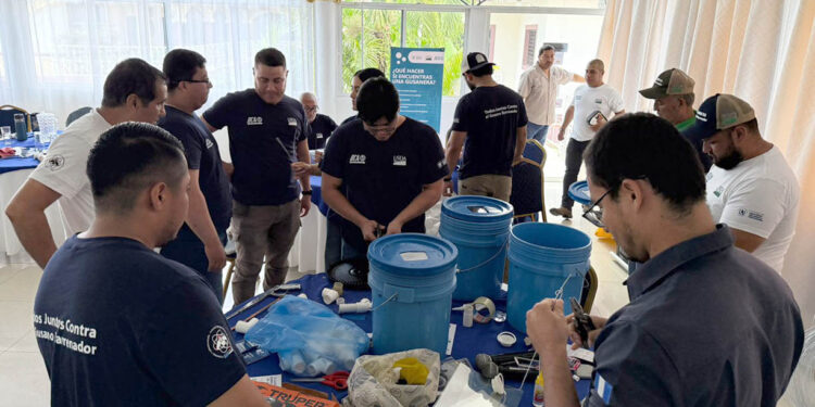 Implementan trampas para moscas como medida preventiva al Gusano Barrenador