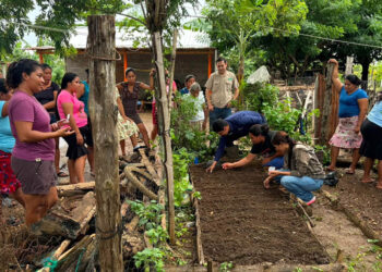 Establecen huertos familiares en Las Cruces, Petén