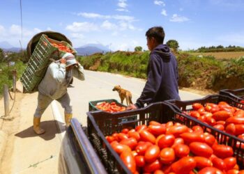 Nuevo camino mejora la vida en Santa Cruz Balanyá