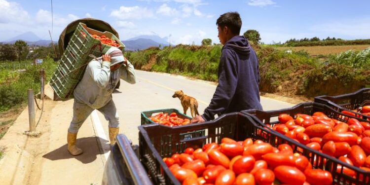 Nuevo camino mejora la vida en Santa Cruz Balanyá