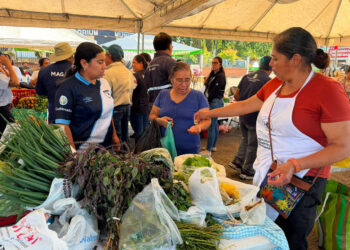 En Villa Canales la Feria del Agricultor acerca productos frescos y oportunidades para productores