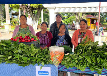 Del campo a la mesa: agricultores de Chimaltenango venden sin intermediarios
