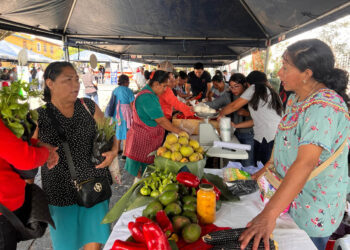 Feria del Agricultor impulsa la venta directa de hortalizas y productos artesanales en Ciudad Vieja