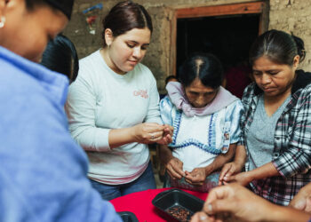 Brindan taller de elaboración de chocolate artesanal a productoras de Olopa