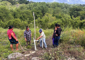 Fortalecen la producción de hortalizas en San Luis, Petén