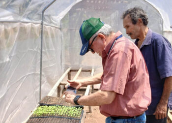 Fortalecen la viticultura en Zacapa