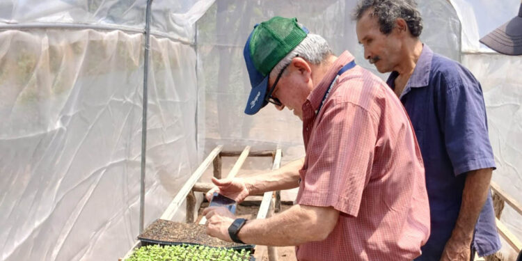 Fortalecen la viticultura en Zacapa