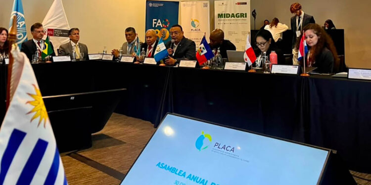 Guatemala asume copresidencia de PLACA