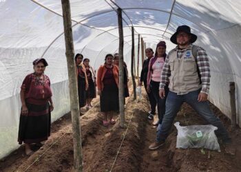 Resguardan agricultura familiar de Huehuetenango con macrotúneles