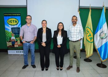 Impulsan innovación tecnológica en el cultivo de frijol para optimizar las producciones