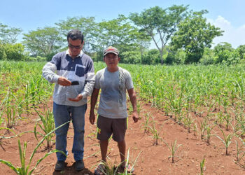 Impulsan caracterización del sector agrícola mediante el levantamiento de datos del RUA
