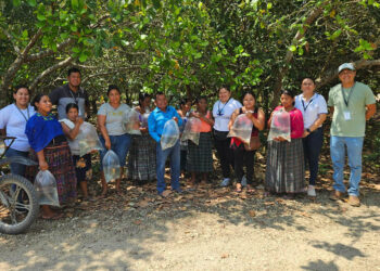 Más de mil familias de Petén fortalecen su producción acuícola