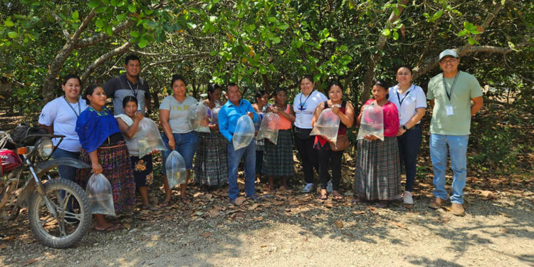 Más de mil familias de Petén fortalecen su producción acuícola