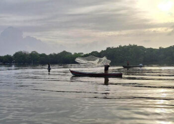 Ordenamiento y asistencia fortalecen los sectores pesquero y acuícola