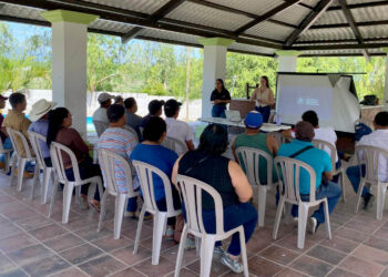 Productores de El Progreso fortalecen sus ventas con herramientas de marketing digital