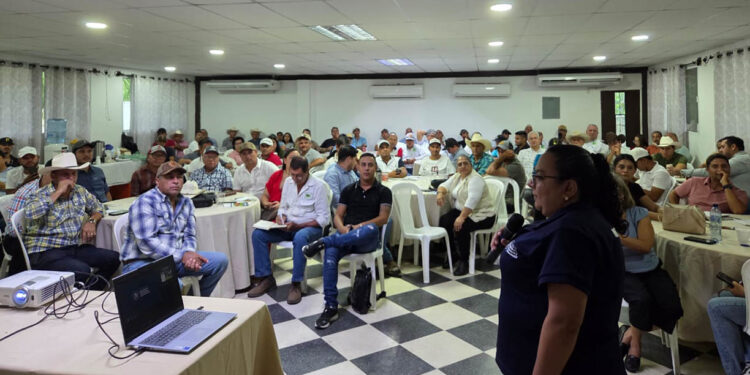 Ganaderos de Izabal conocen cómo ingresar al régimen especial del sector primario y pecuario