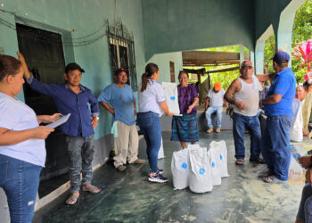 Productores de San Francisco reciben semilla de maíz