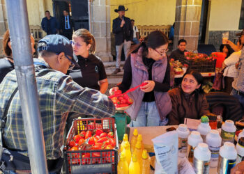 Productores promueven el comercio local en la Feria del Emprendimiento “Yo soy Tejutla”