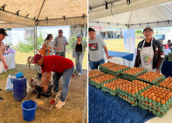 Productos agrícolas y artesanales destacan en Feria del Agricultor en Jalapa