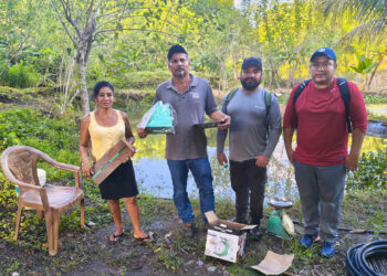 Promueven buenas prácticas entre productores de tilapia