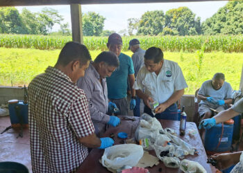 Reparación de aspersoras fortalece las labores agrícolas en Retalhuleu