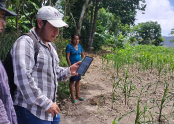 Promueven la caracterización agrícola mediante el RUA en Olopa
