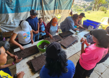 Nuevas técnicas fortalecen el cultivo de pepino en San José Pinula