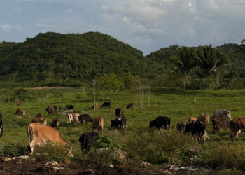 Recomiendan medidas preventivas ante condiciones climáticas de la semana