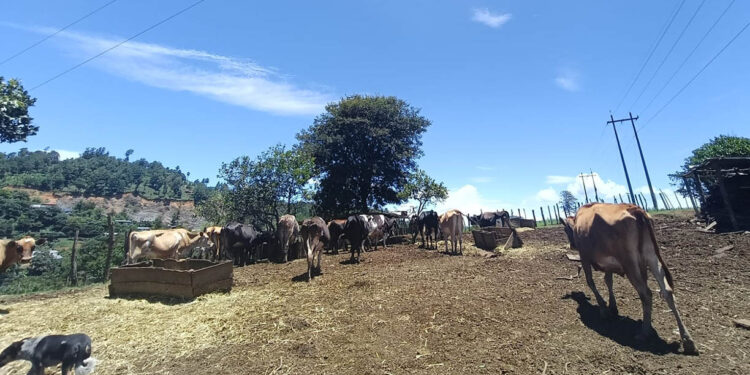 Recomiendan tomar medidas preventivas ante altas temperaturas y variación de lluvias en el país