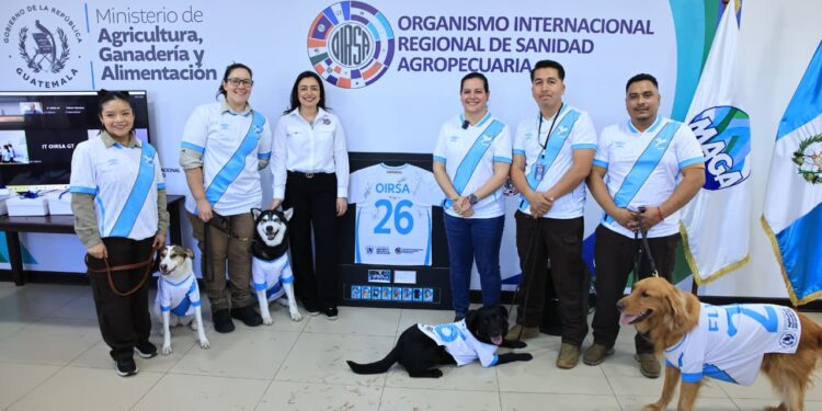Reconocen labor de binomios caninos en misión sanitaria en México durante el Mundial FIFA 2026