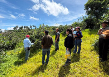 Tecnifican el manejo de plantaciones de manzana en Jalapa