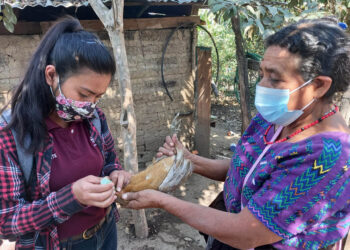 Vacunación y vigilancia sanitaria, claves para prevenir las zoonosis