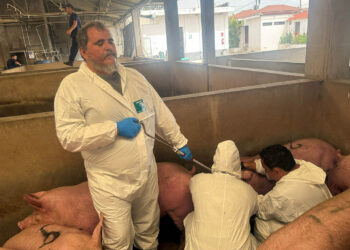 6 de julio – Día Mundial de la Zoonosis