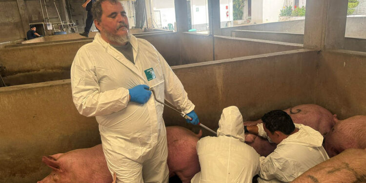 6 de julio – Día Mundial de la Zoonosis