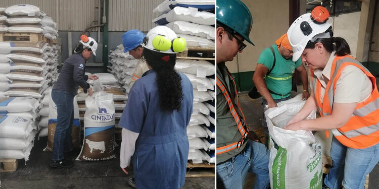 Verifican ausencia de proteínas prohibidas en alimentos para bovinos