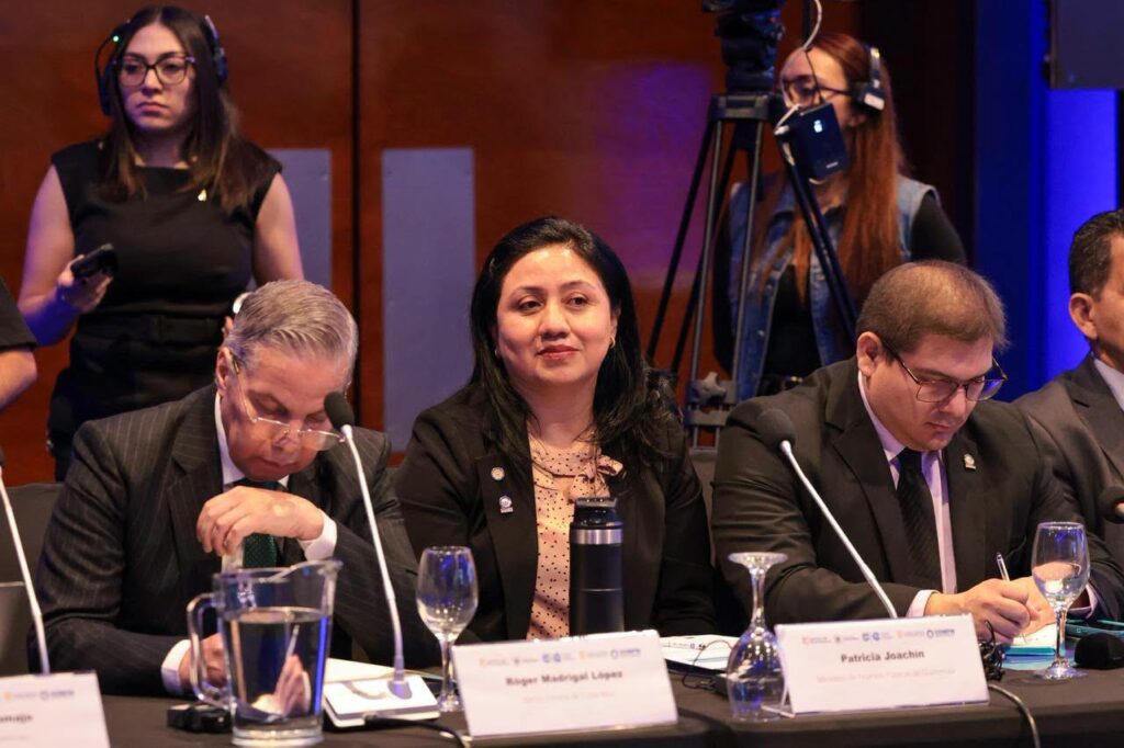 Patricia Joachín Godínez, viceministra de Ingresos y Evaluación Fiscal