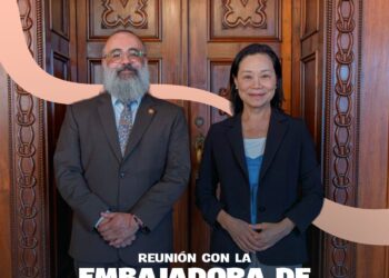 ¡Oportunidades de cooperación!
