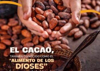 7 de julio, Día Internacional del Cacao